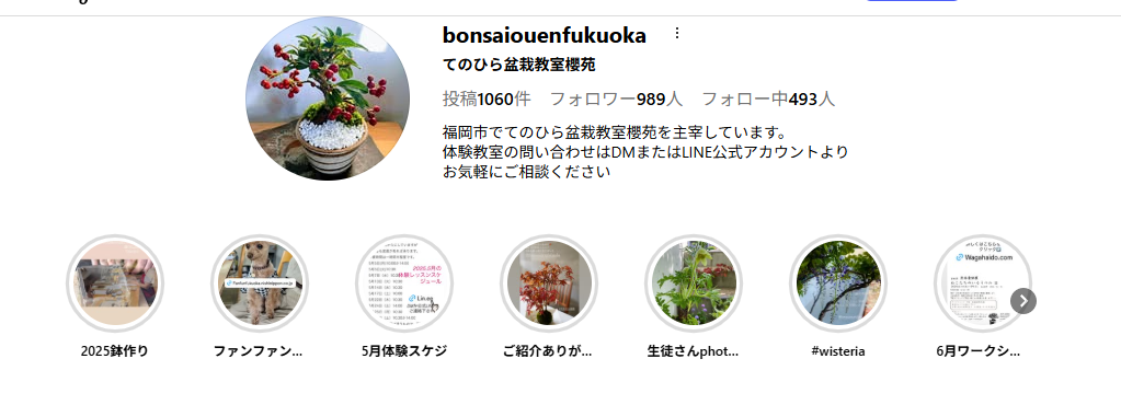 てのひら 盆栽教室 櫻苑（おうえん）の魅力紹介